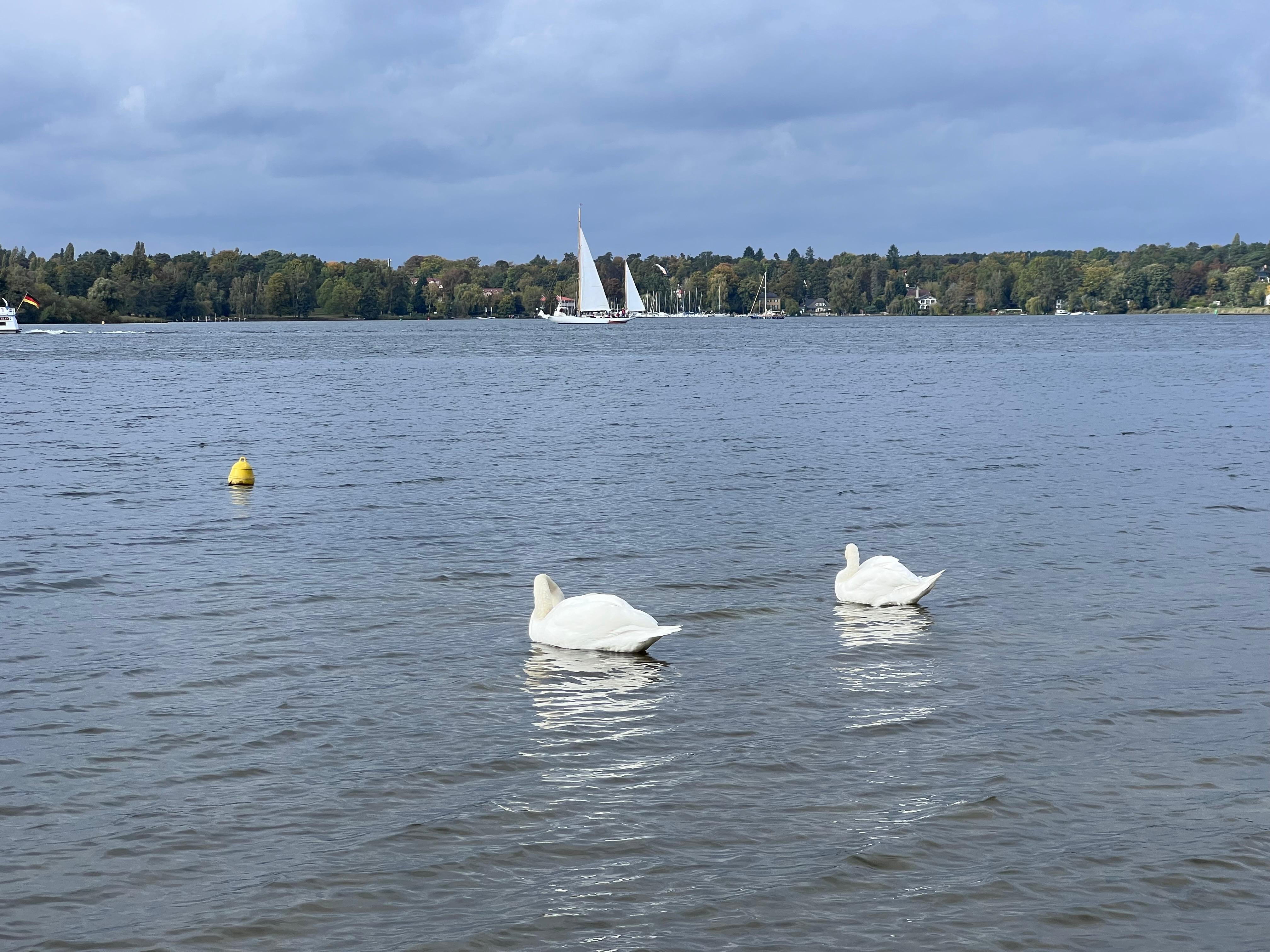 Ruhige Stimmung an der Havel im Grunewald
